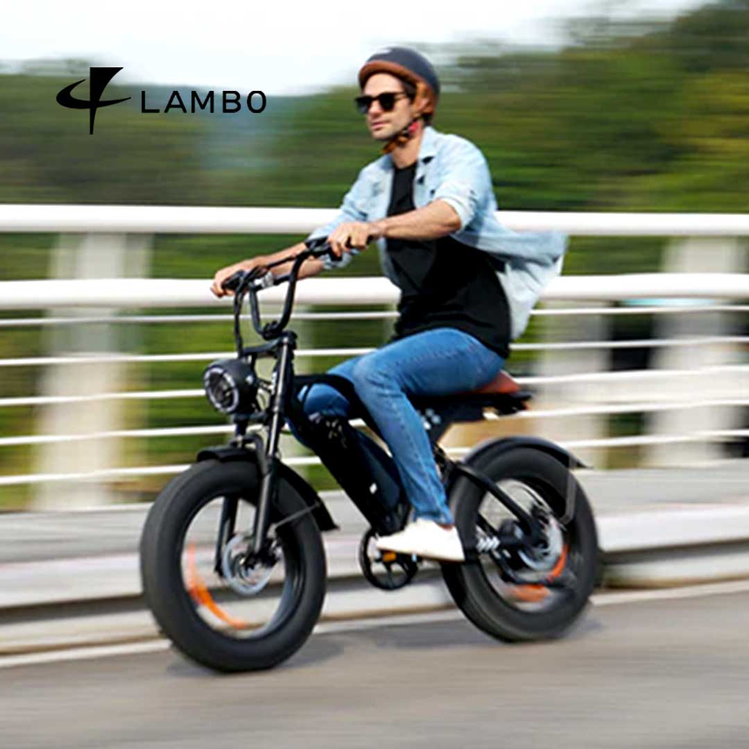 Bicicleta Elétrica EB5 - Loja de Bicicletas Elétricas, eBikes e Patinetes Elétricos em São Paulo - Atacado e Varejo - Ebikes Lambo