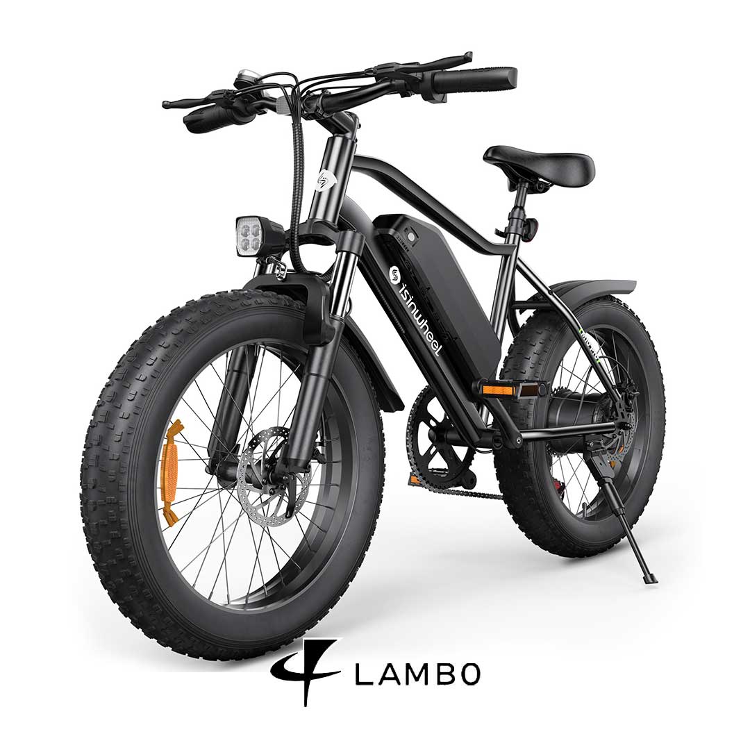 Bicicleta Elétrica M10 Pro - Ebikes Lambo