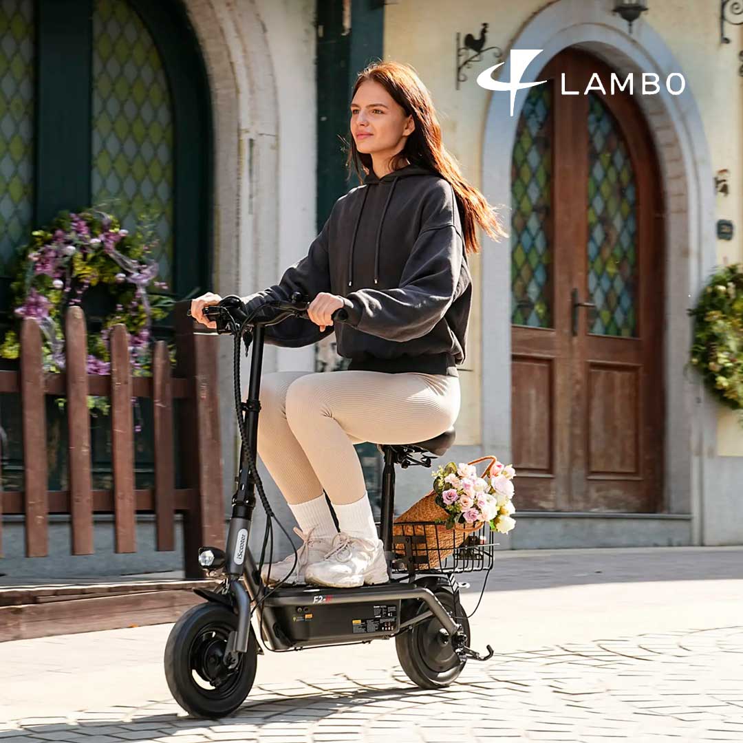 Scooter Elétrica F3 - Scooter elétrica de 1000w - Ebikes Lambo